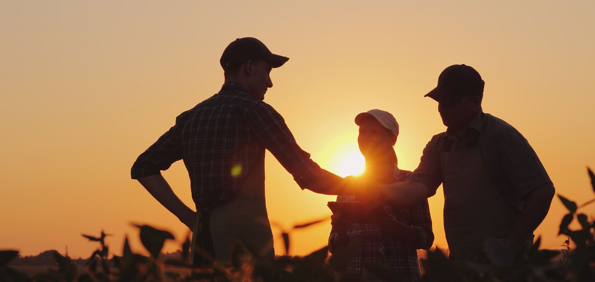 Farmers shaking hands in a wheat field at sun set