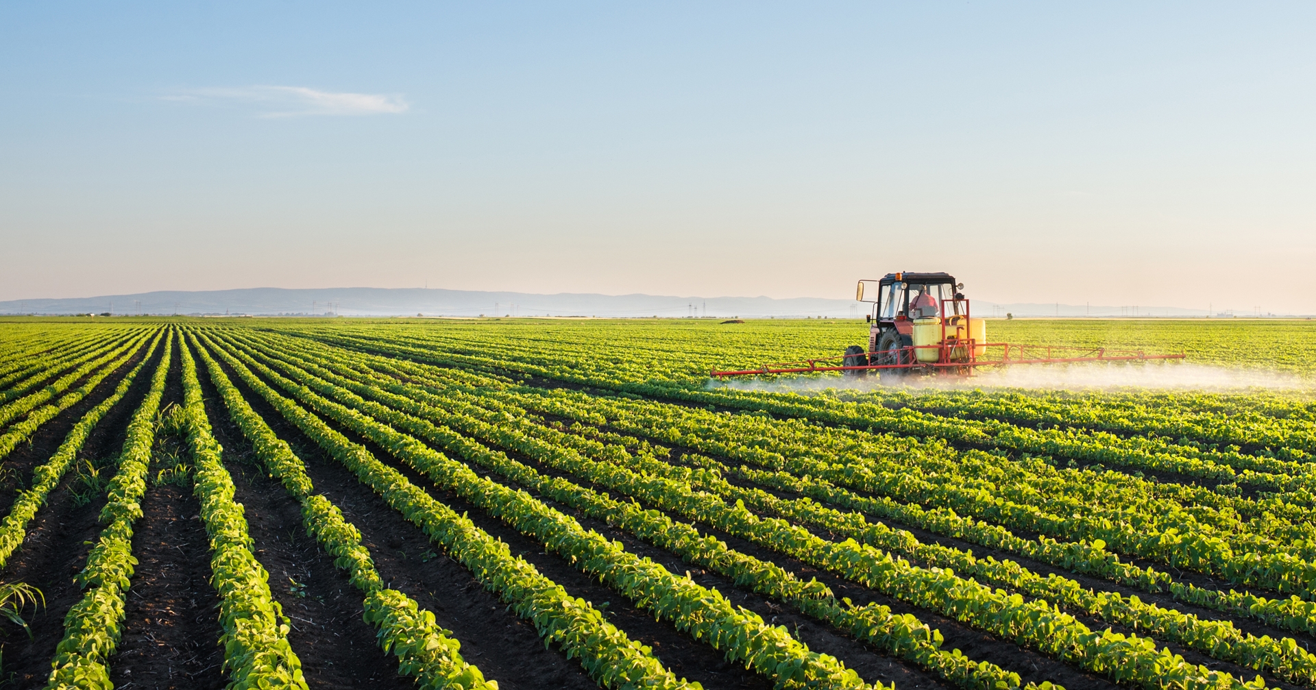 A tractor in a field