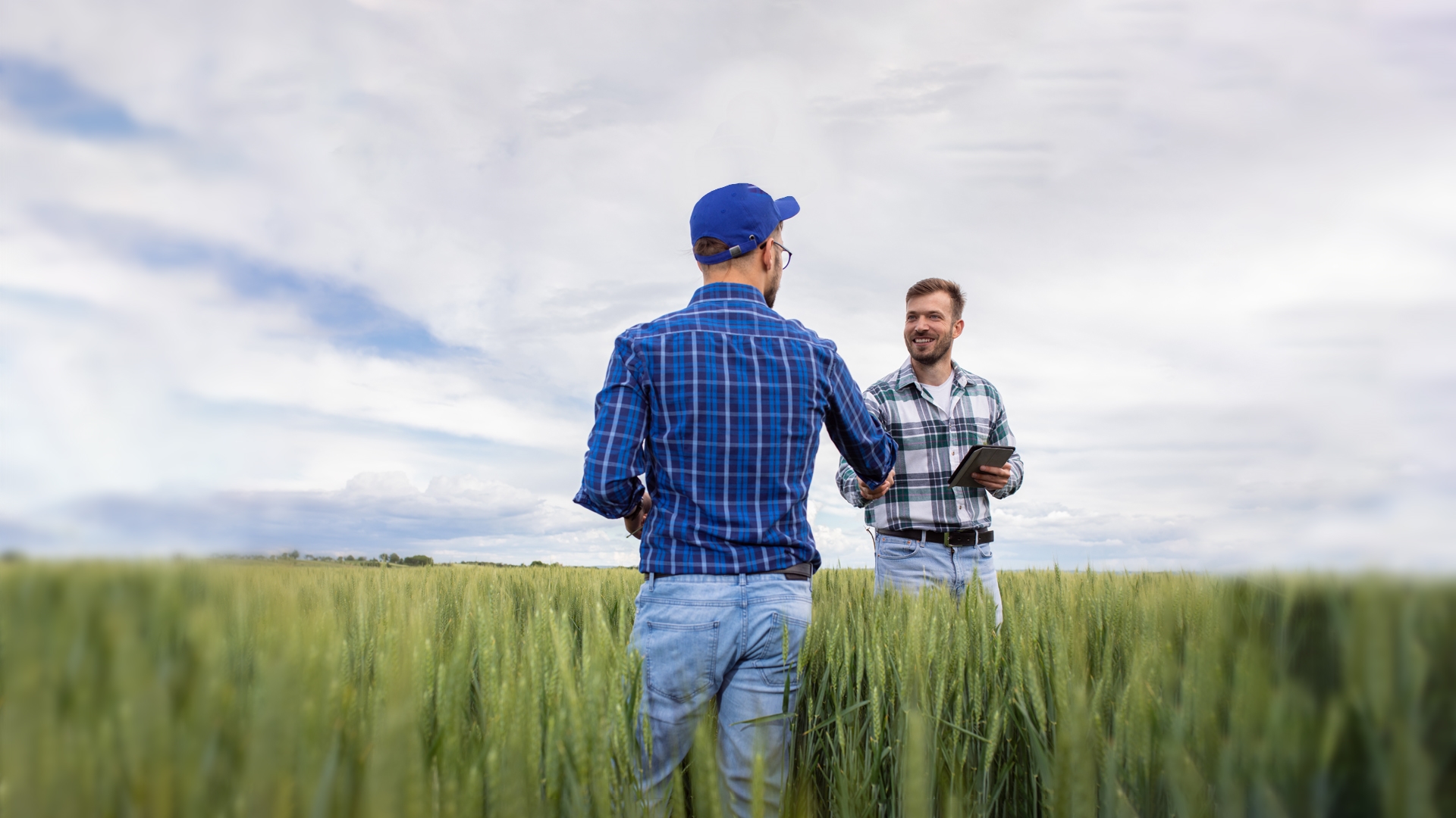 Two farmers shaking hands in the middle of a wheat field