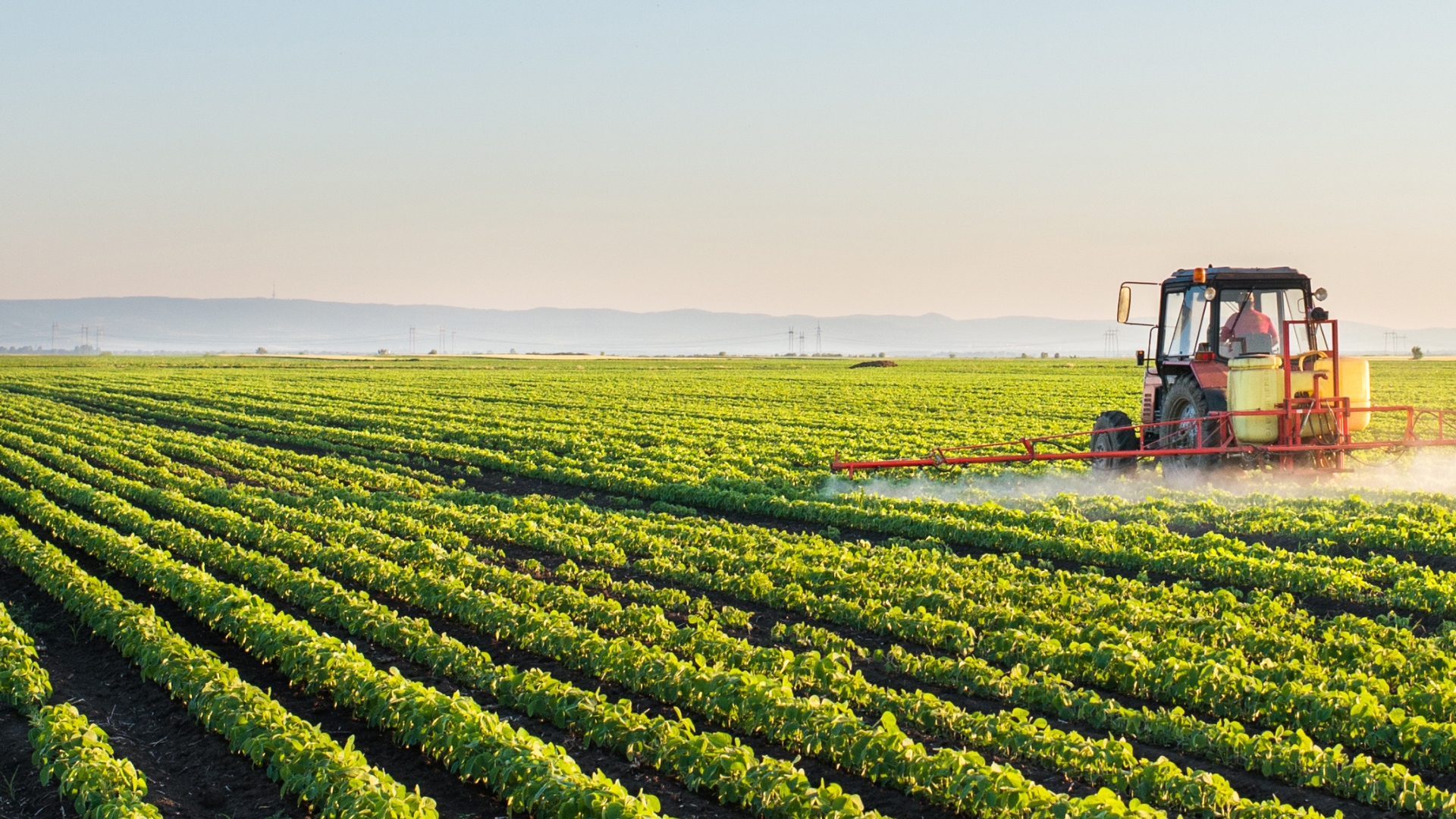 A tractor in a field